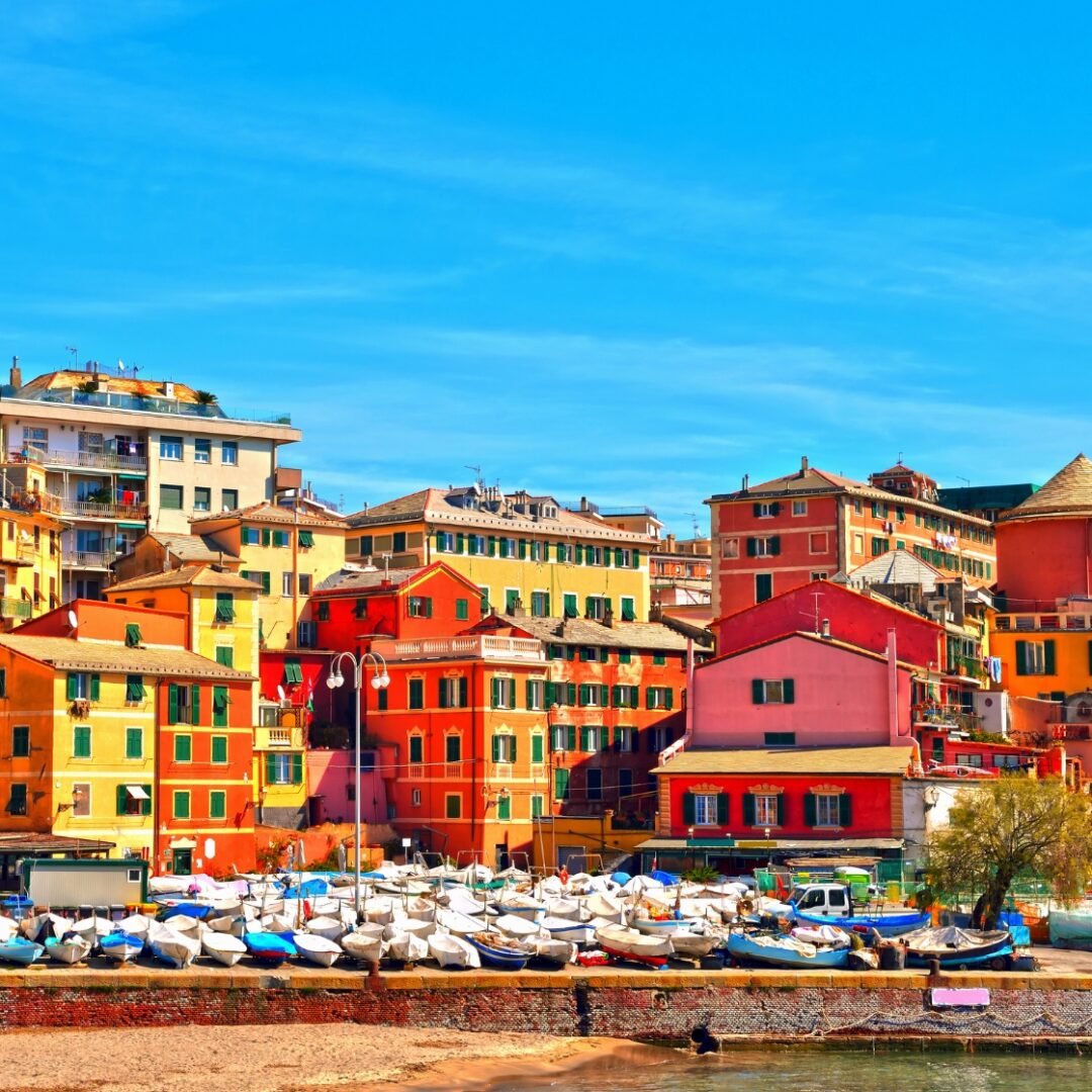 actividades en bolonia