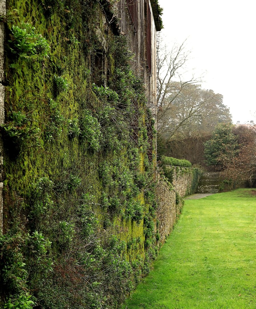 que ver en santiago de compostela gratis