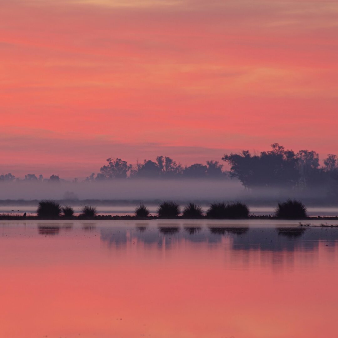 que ver en sevilla doñana