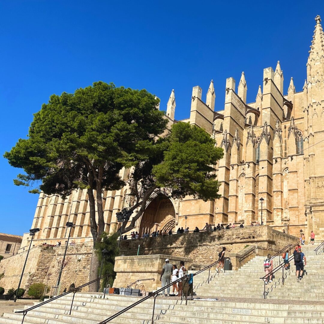 que ver en granada y palma de mallorca