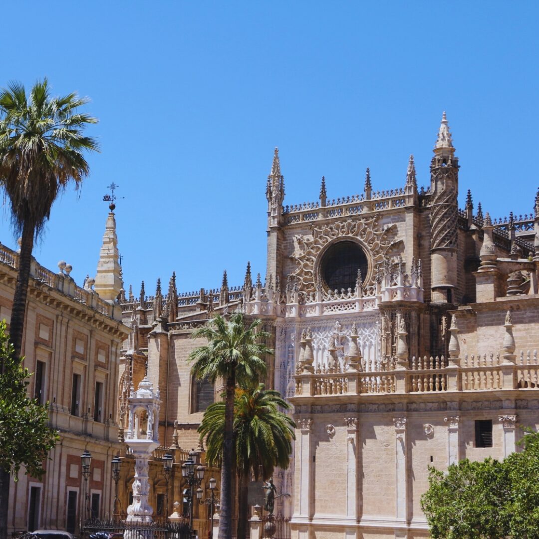 que ver en valencia y palma de mallorca