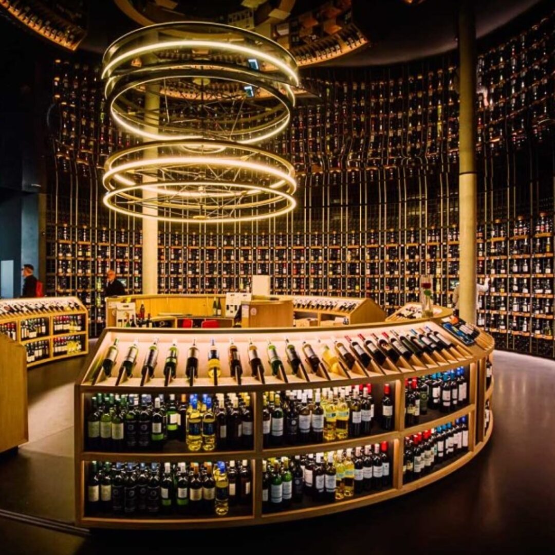 excursion en burdeos