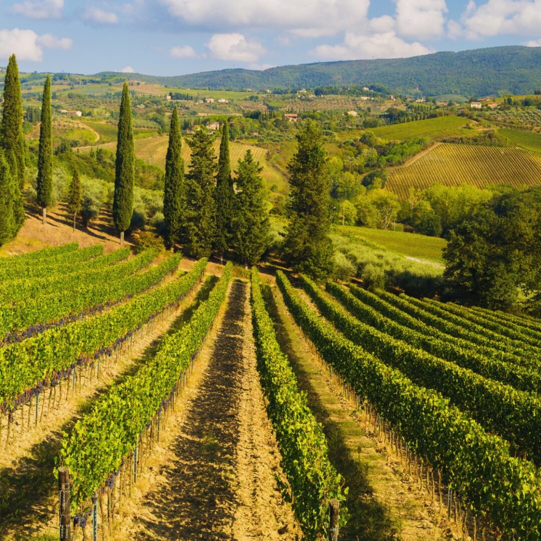 que ver en florencia italia