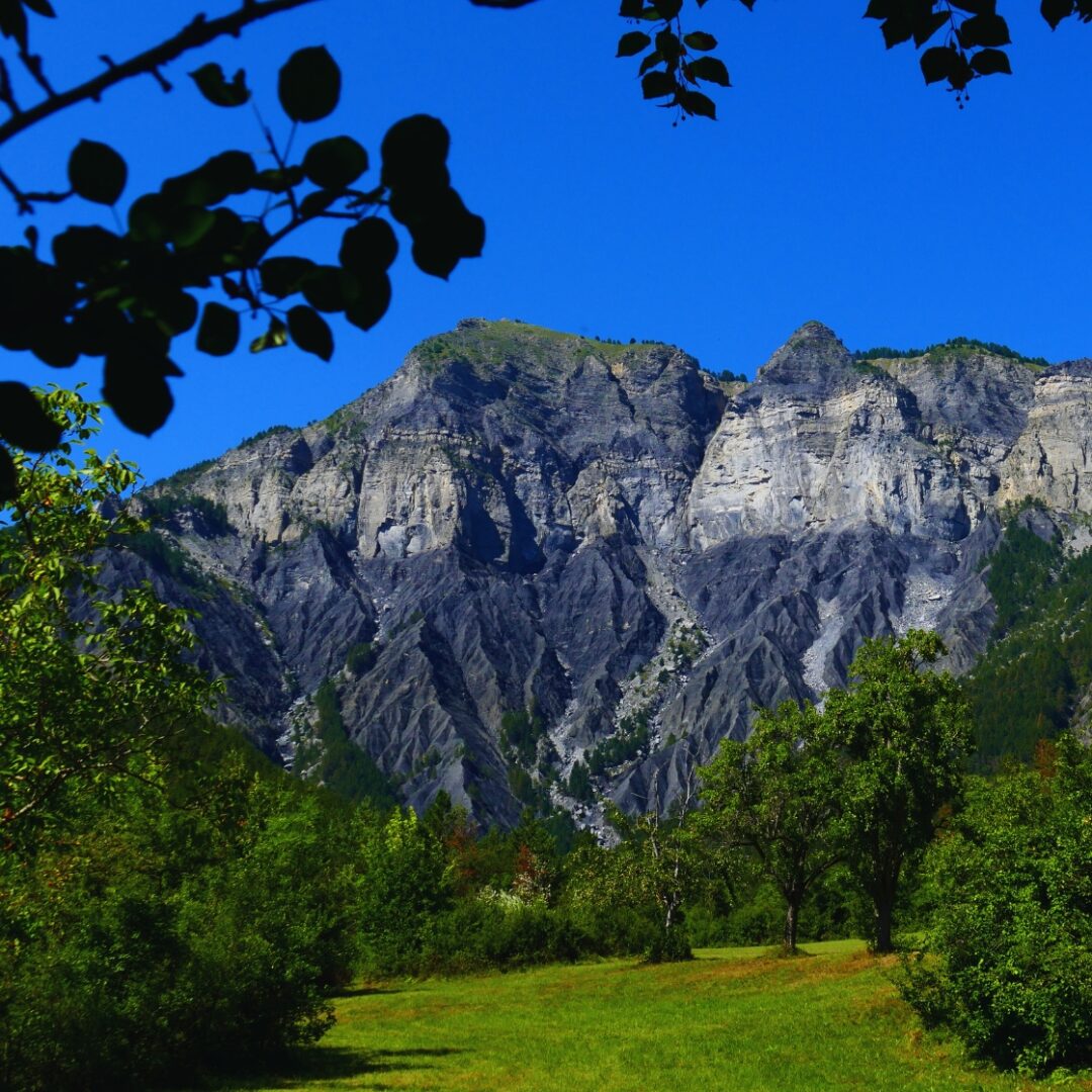 alpes que ver en niza