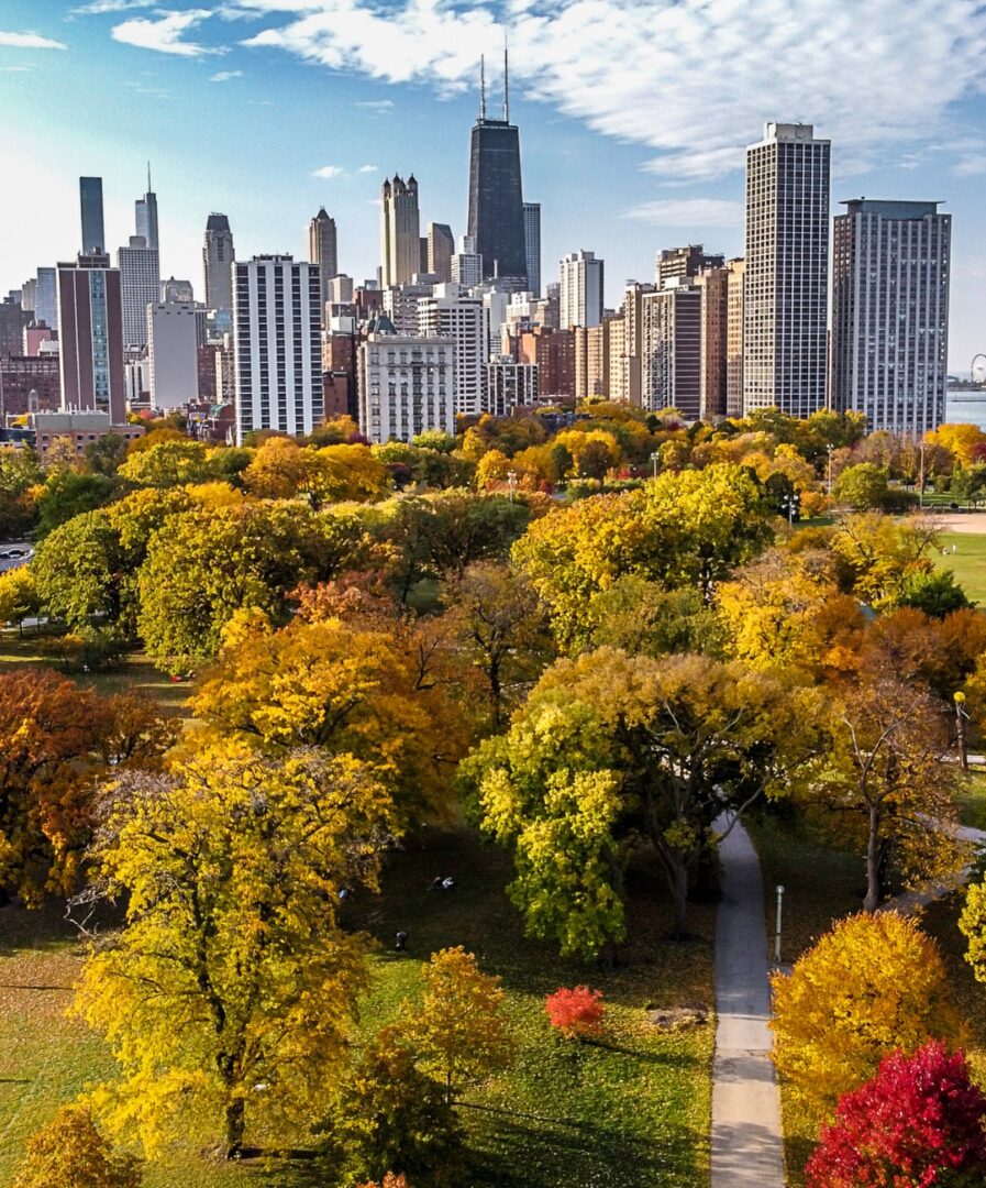 que ver en chicago en 3 dias