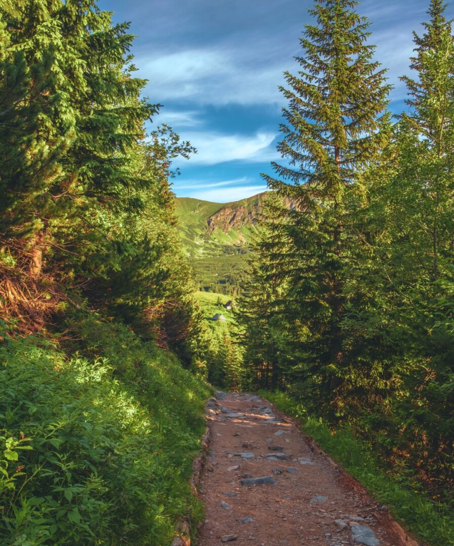 que ver en polonia en 5 días