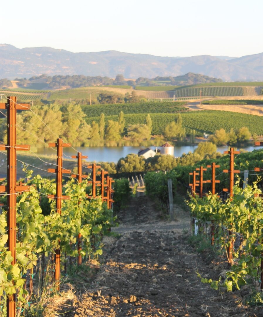 alrededores de san francisco