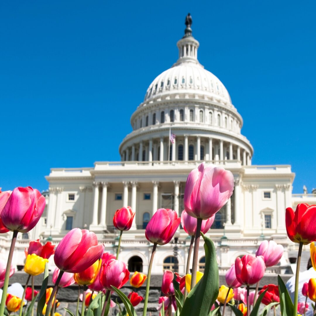 que ver en estados unidos