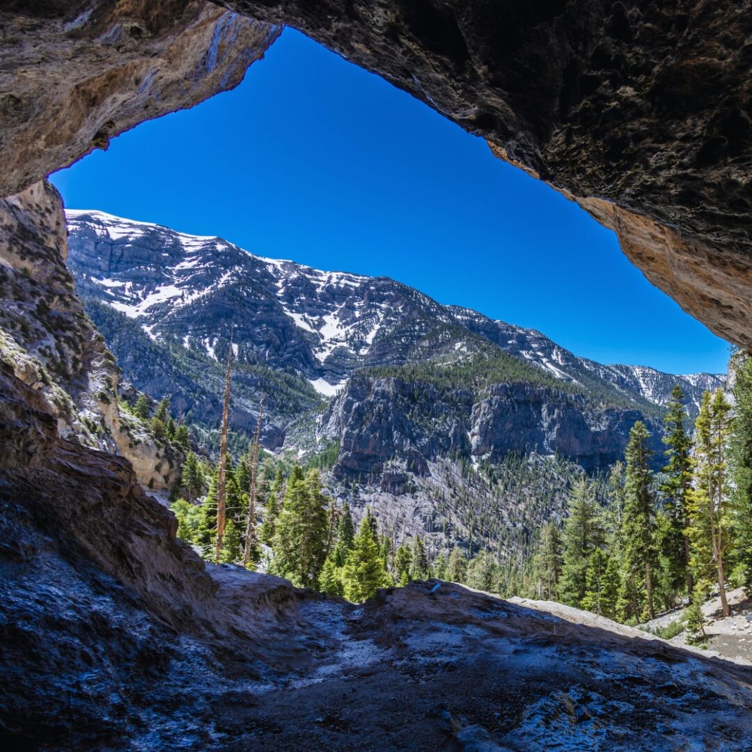 monte charlestone en las vegas