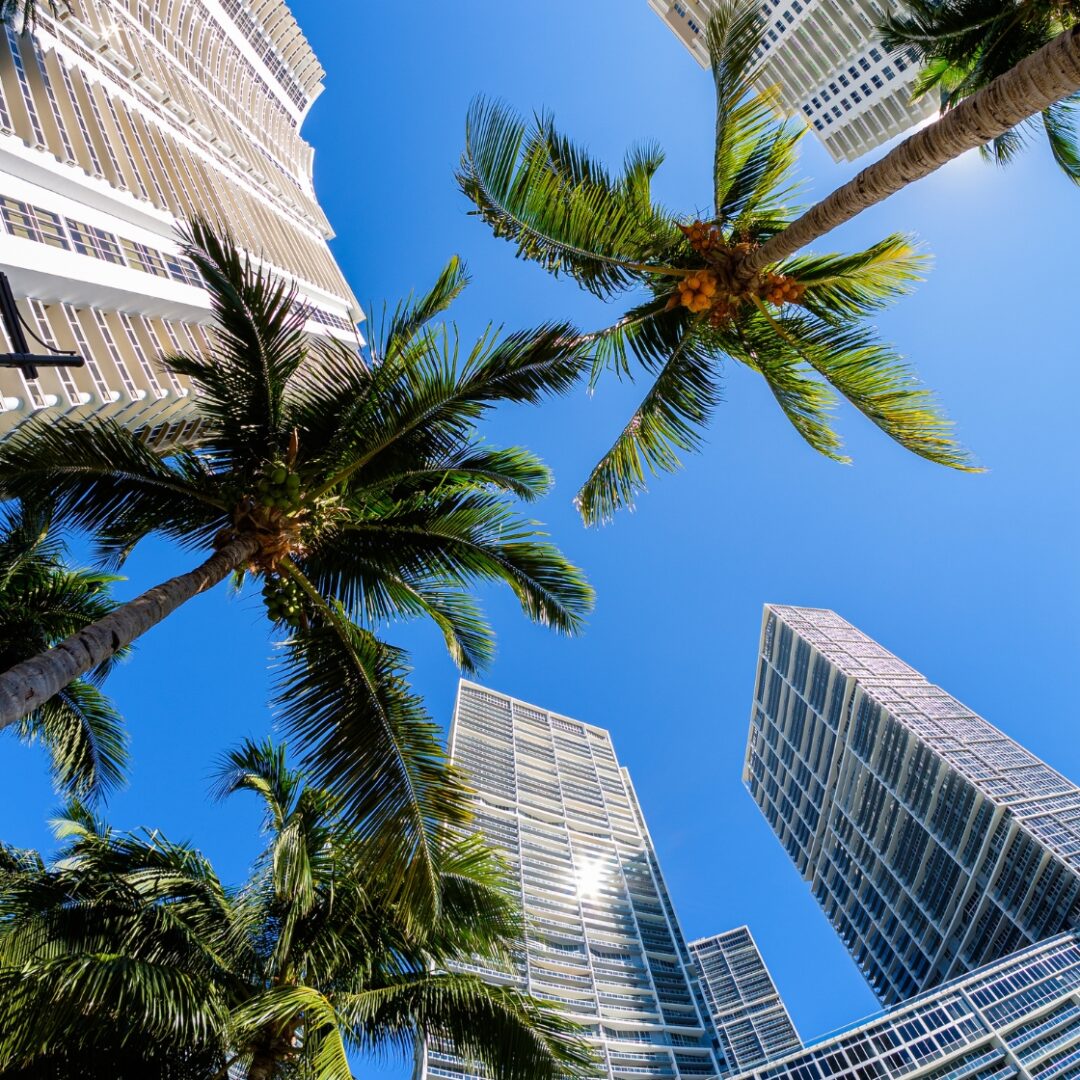 que ver en miami en una semana