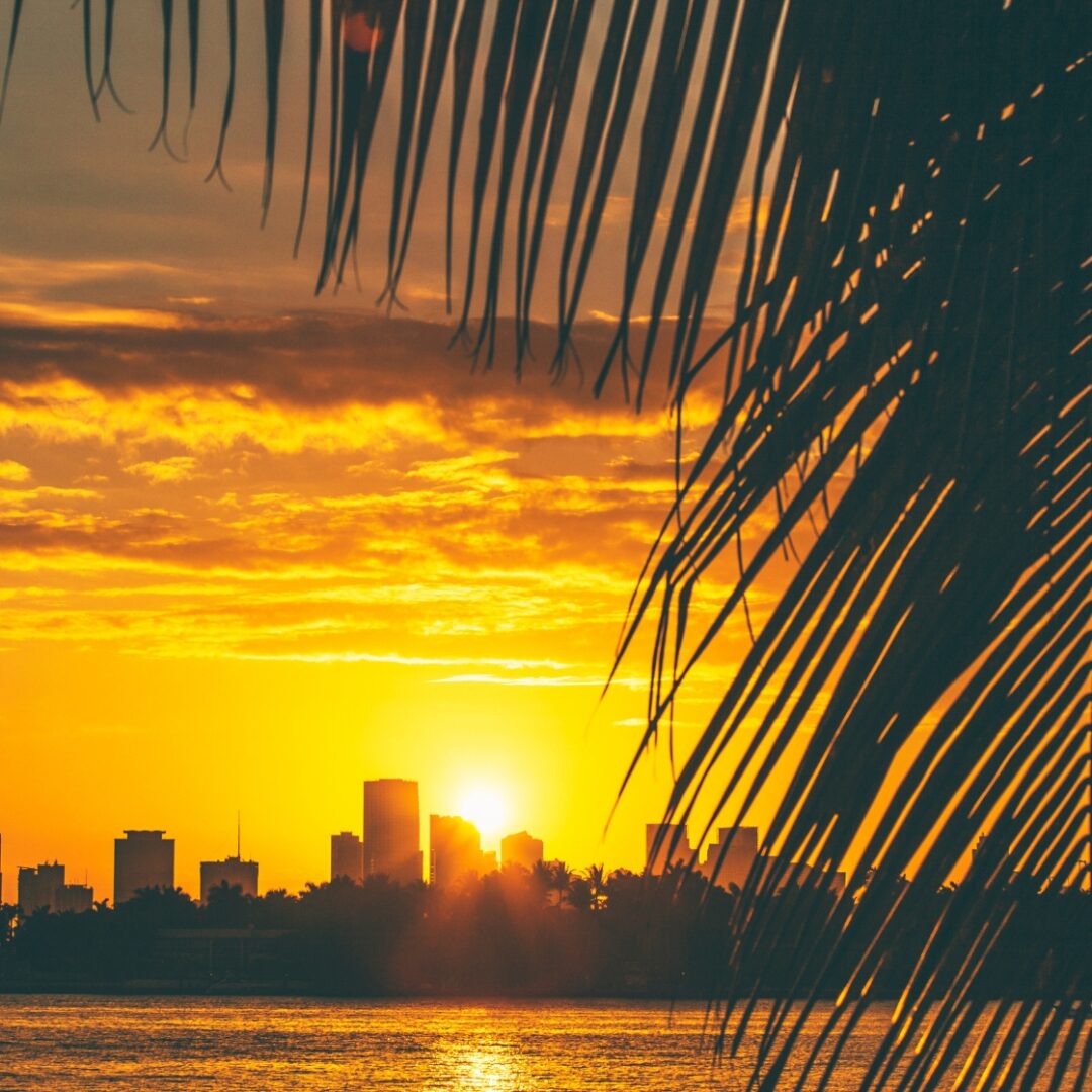 que ver en downtown miami