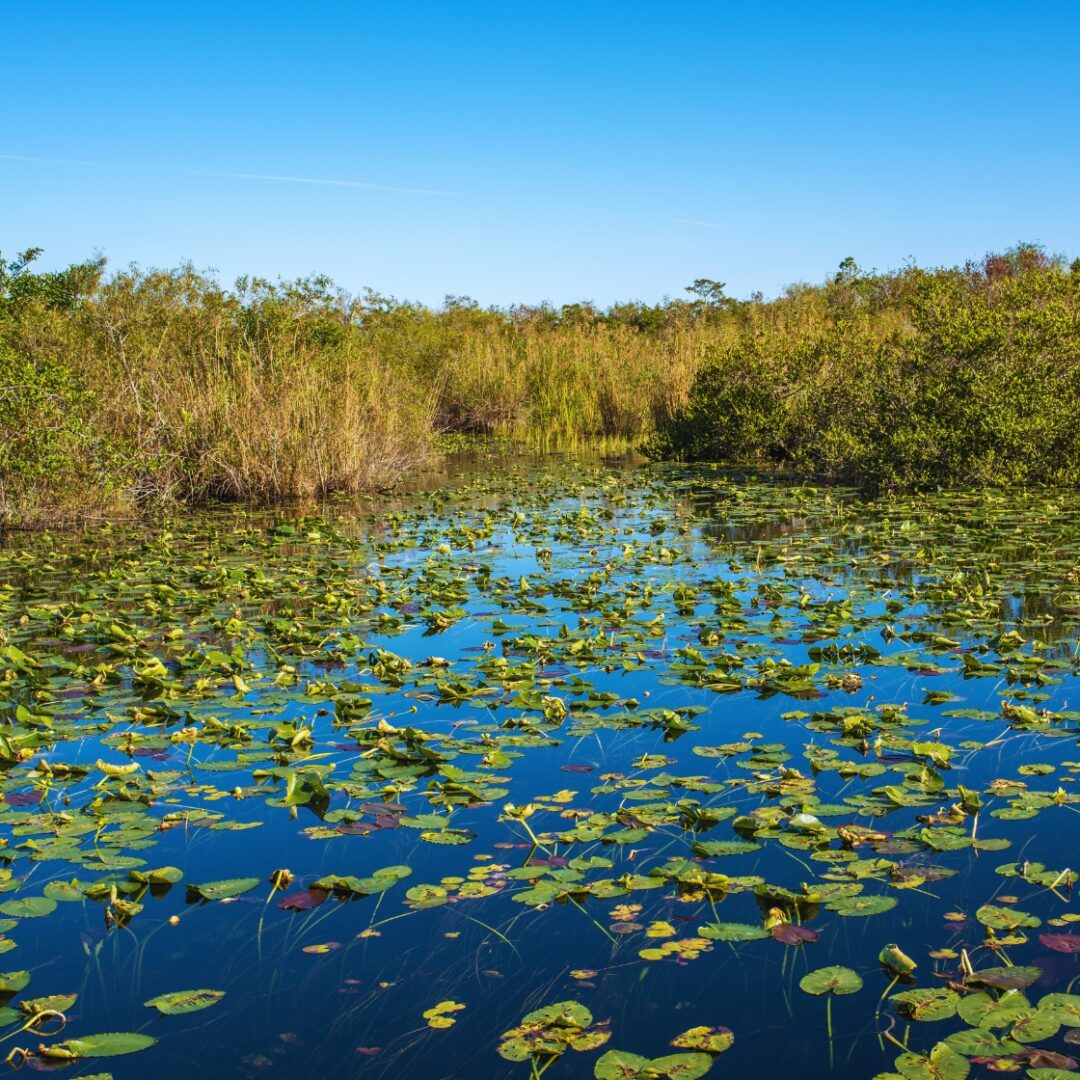 cosas que ver en miami