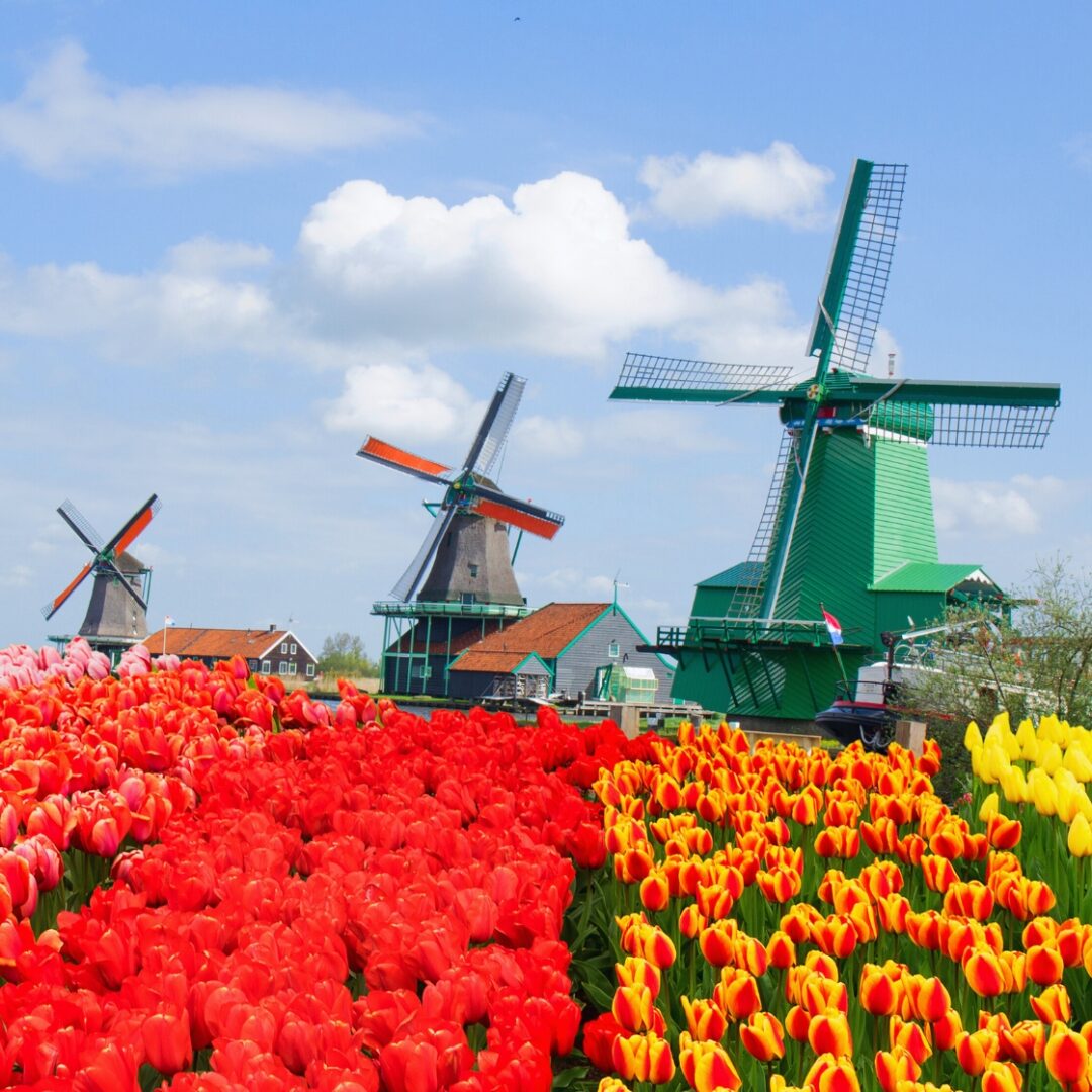 que ver en los paises bajos