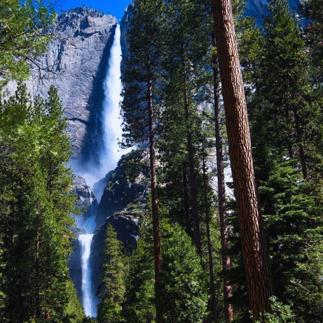 yosemite visitas