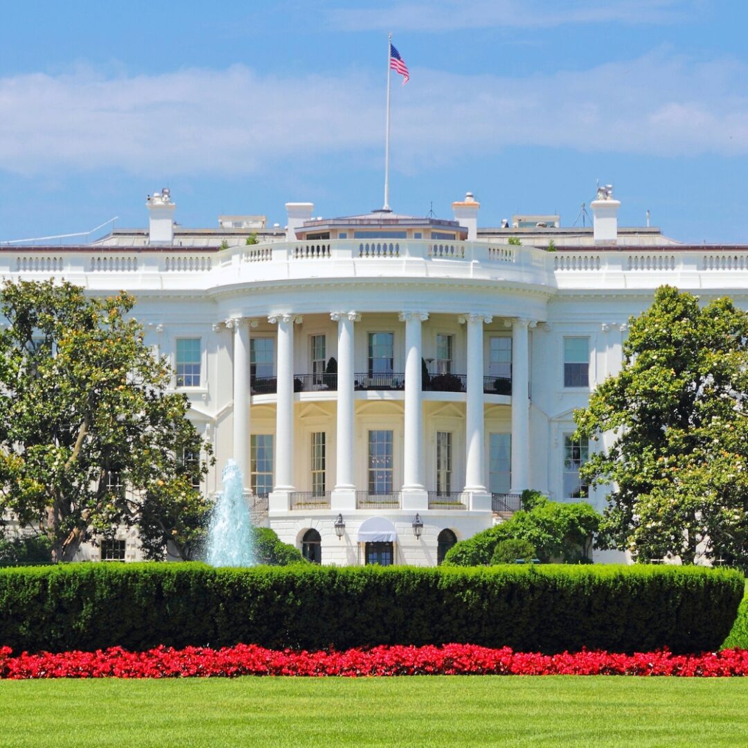 que ver en washington dc en 1 dia