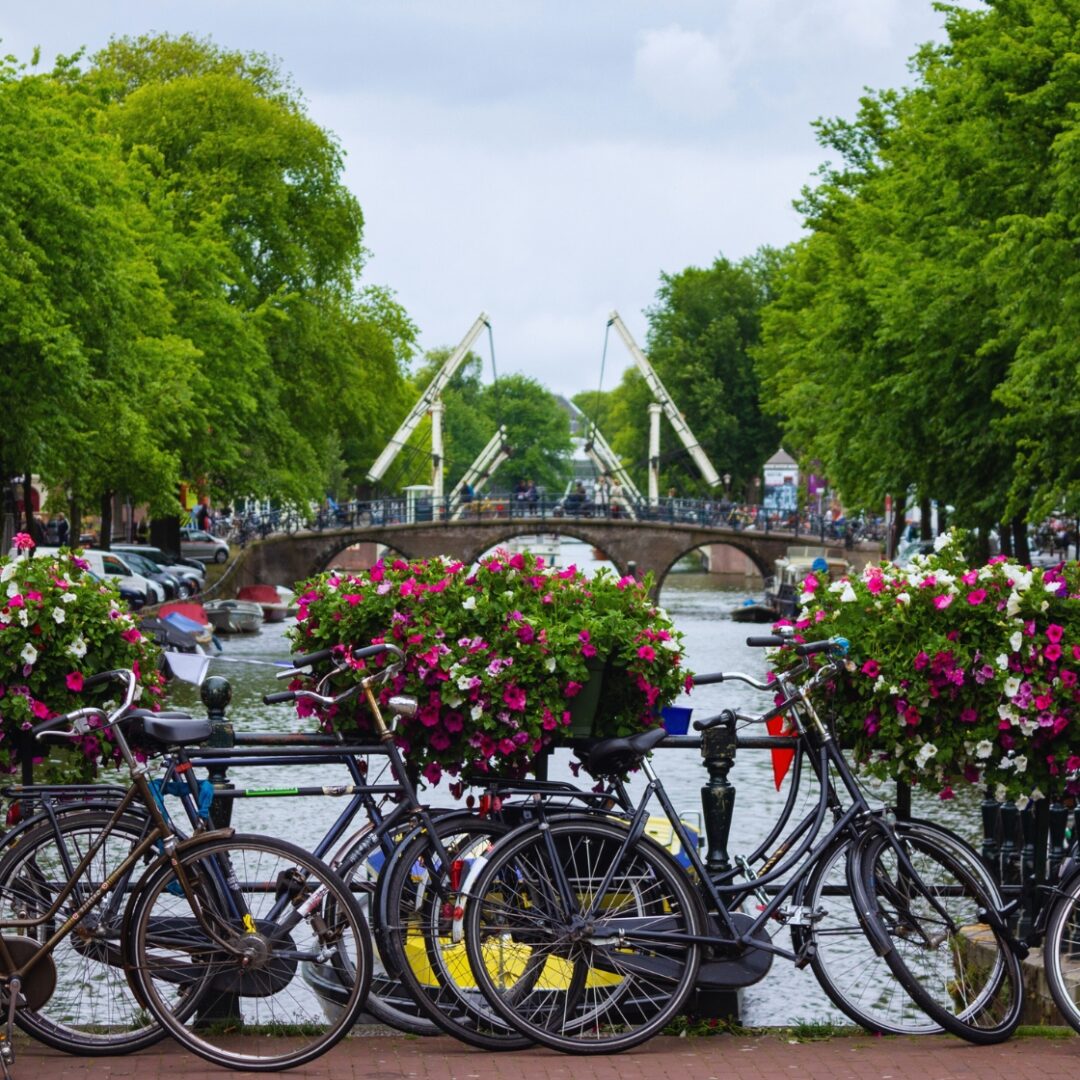 que ver en paises bajos en 7 dias