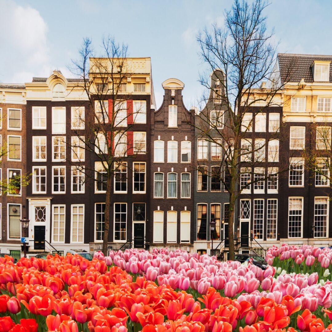 que ver paises bajos