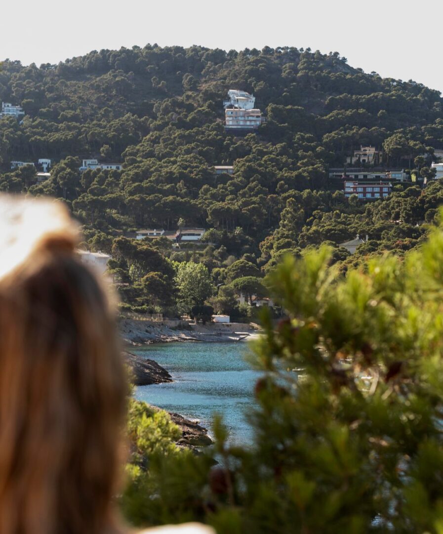 que ver en split en un dia