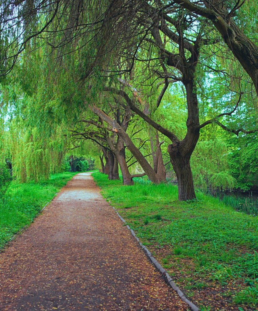 breslavia que ver en un dia