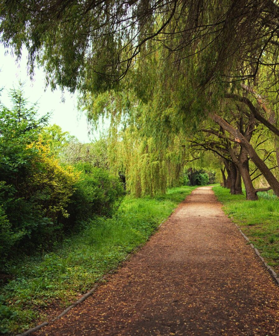 cosas que ver en breslavia