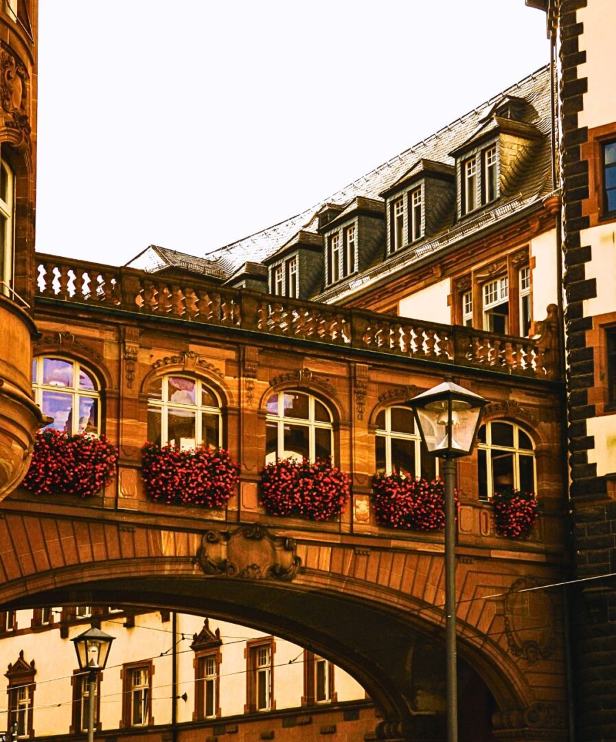 qué ver en frankfurt