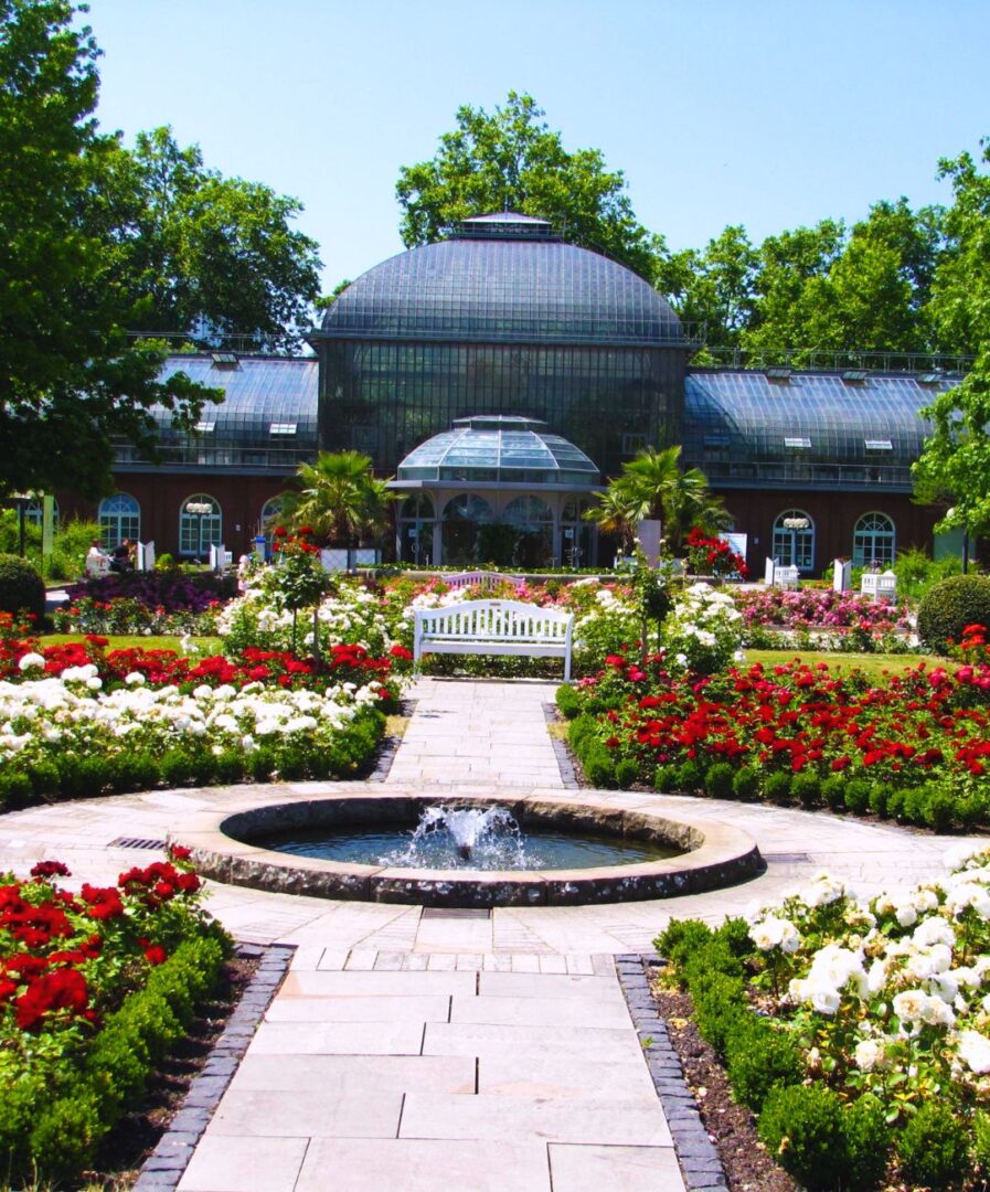 que ver en frankfurt del meno