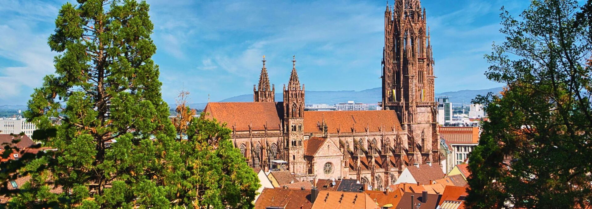 que ver en friburgo alemania