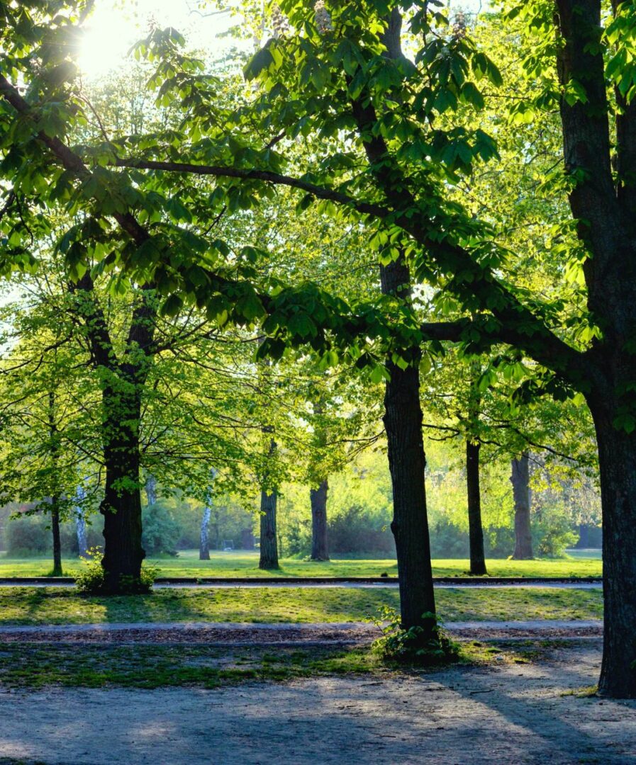 que ver en zagreb en tres dias