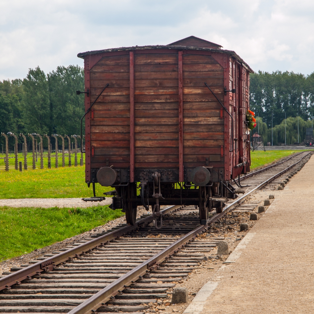 que ver en colonia alemania