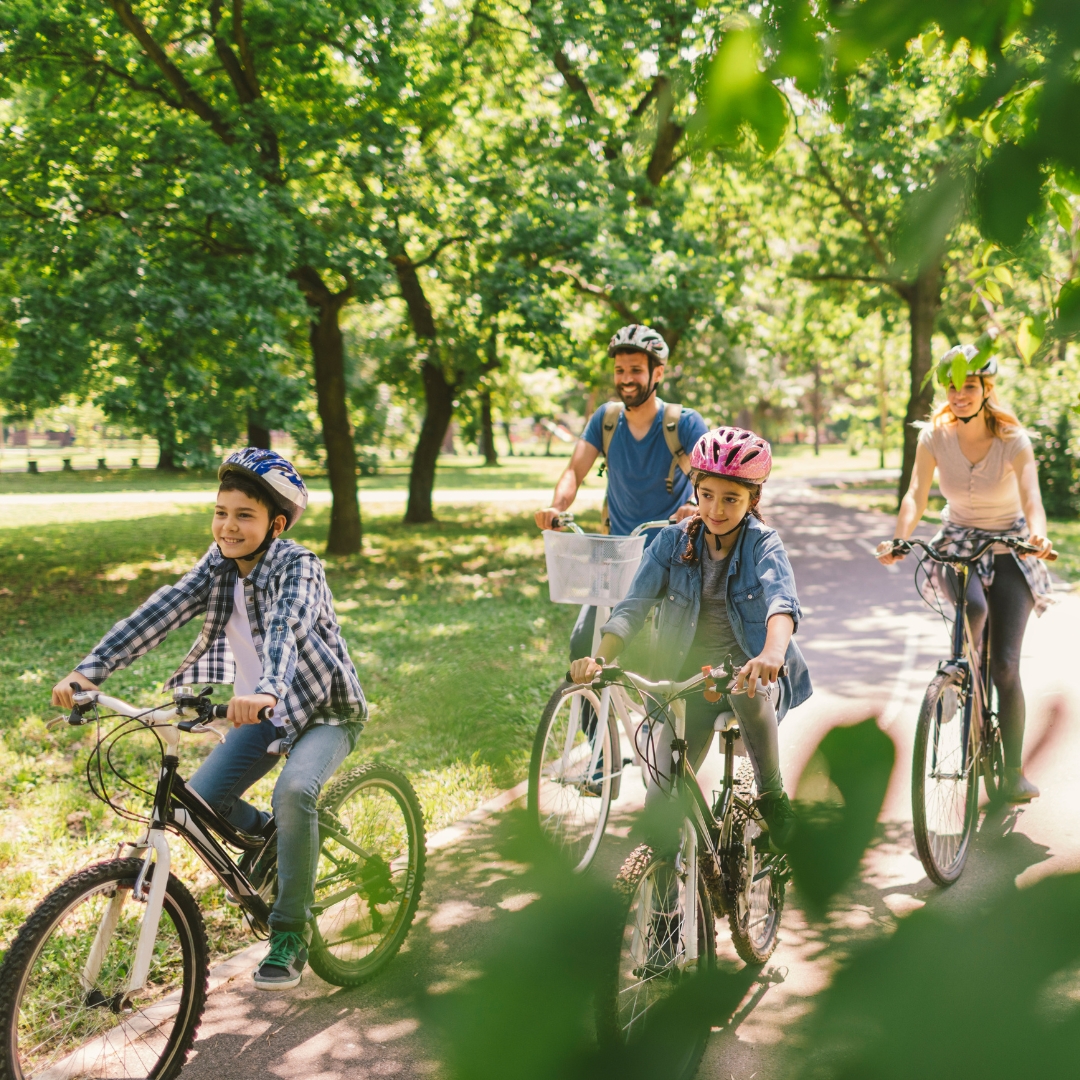 que ver en berlín en 4 dias