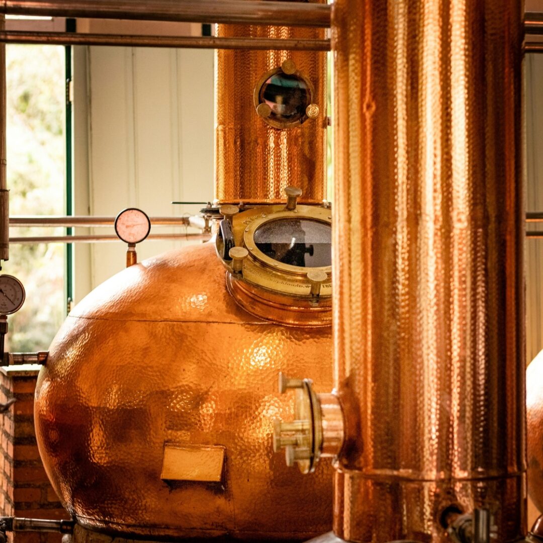 que ver en cobh irlanda