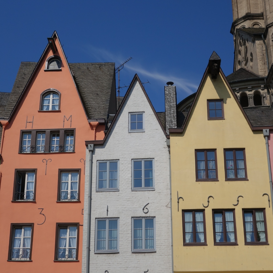 que ver en colonia en navidad