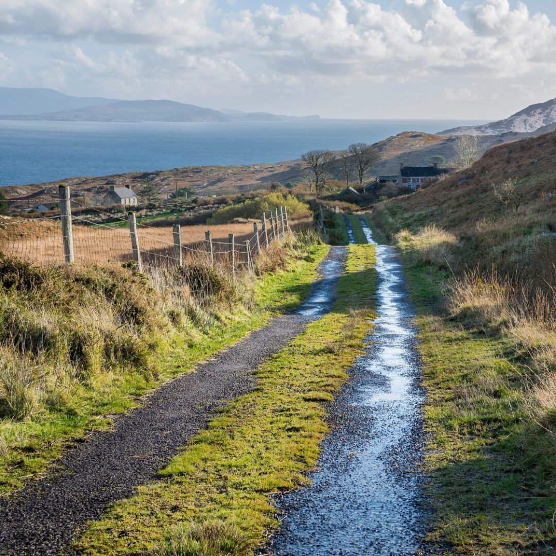 10 cosas que ver en cork