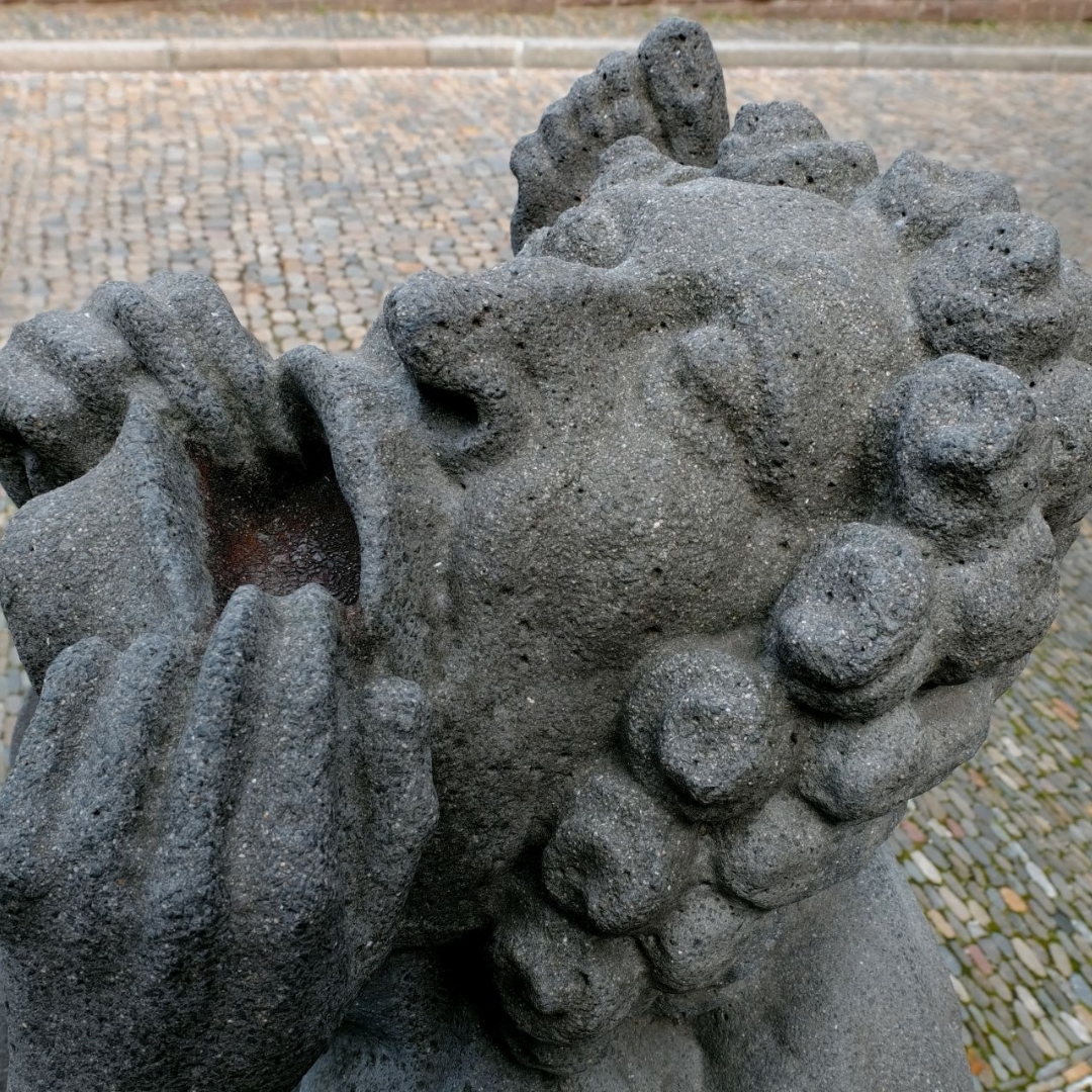 que ver en friburgo alemania