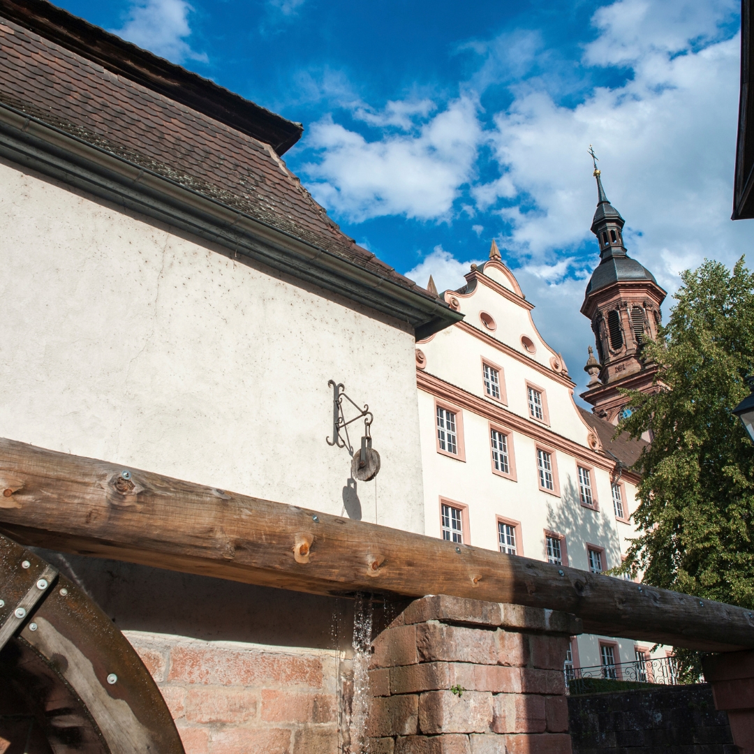 que ver en friburgo suiza