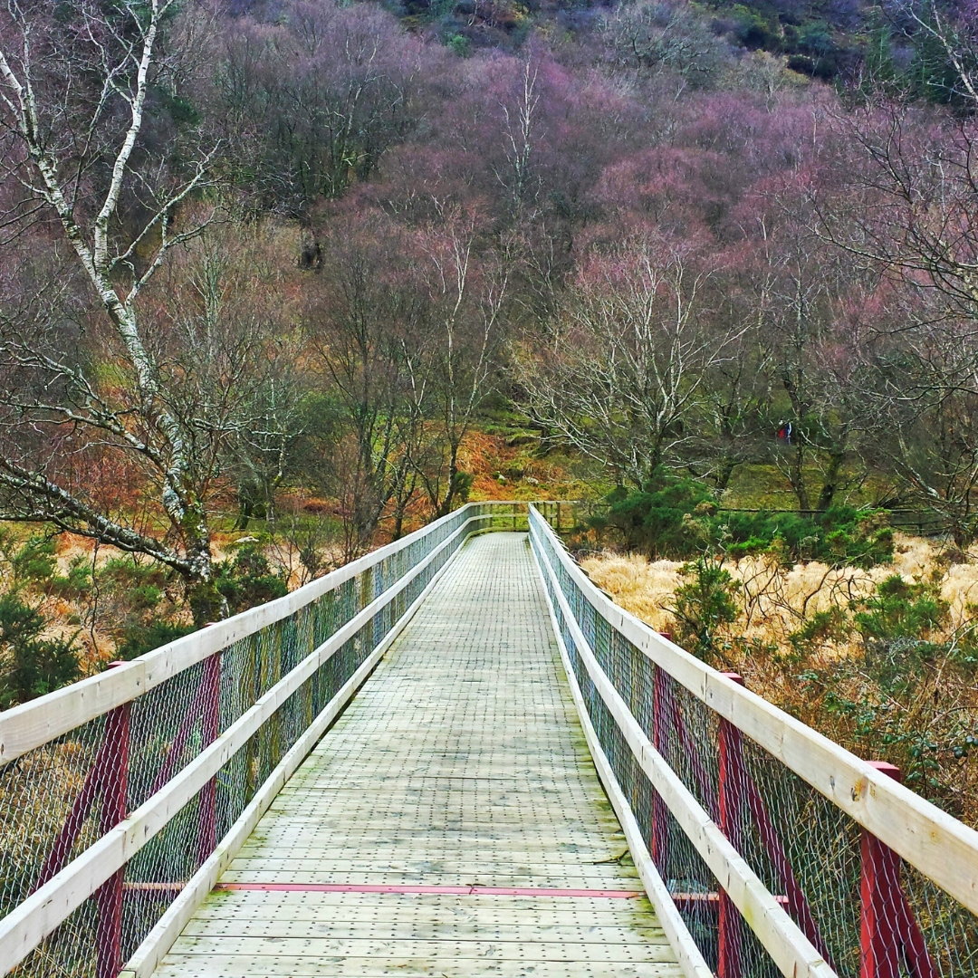 que ver en irlanda del norte