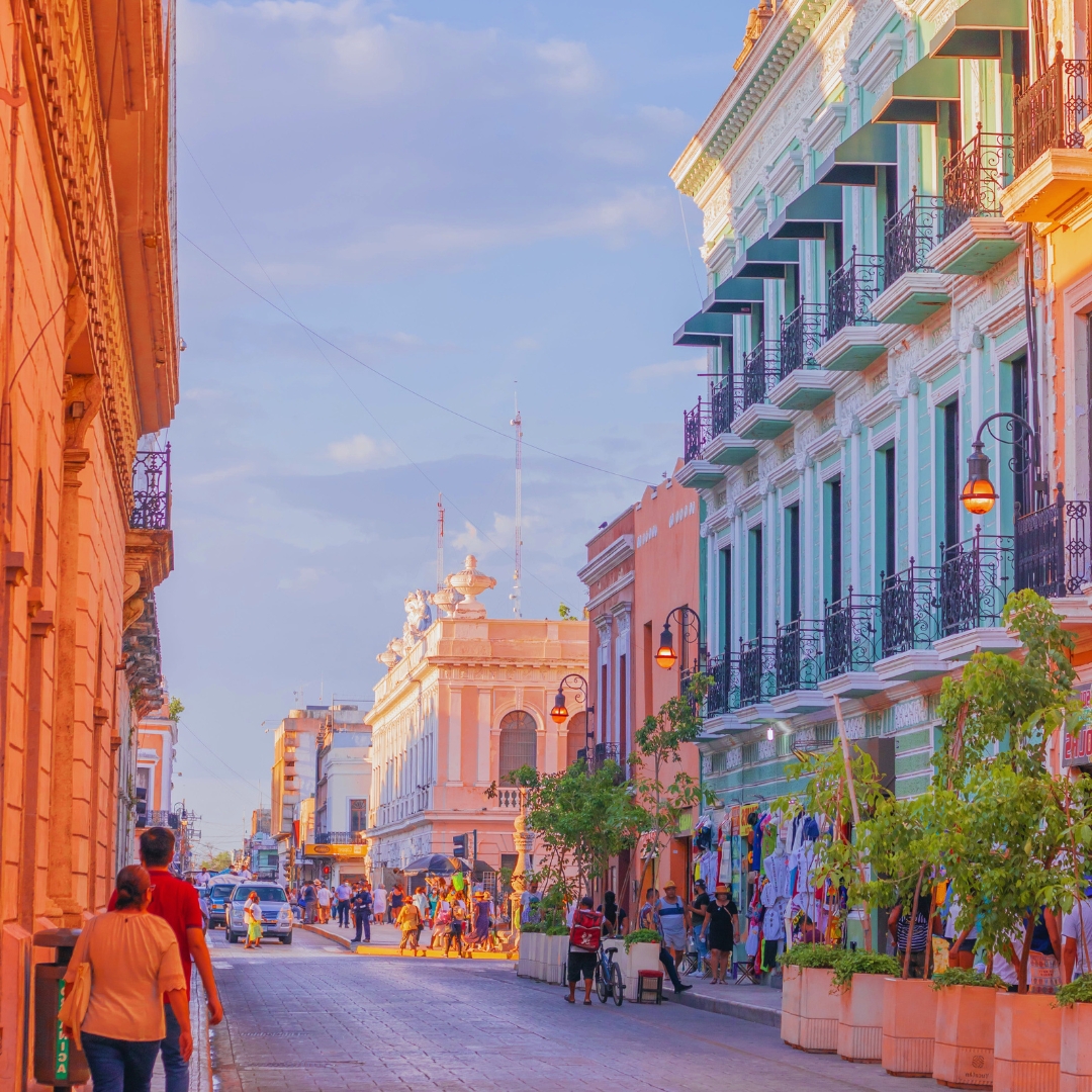 que ver en mexico df en 1 dia