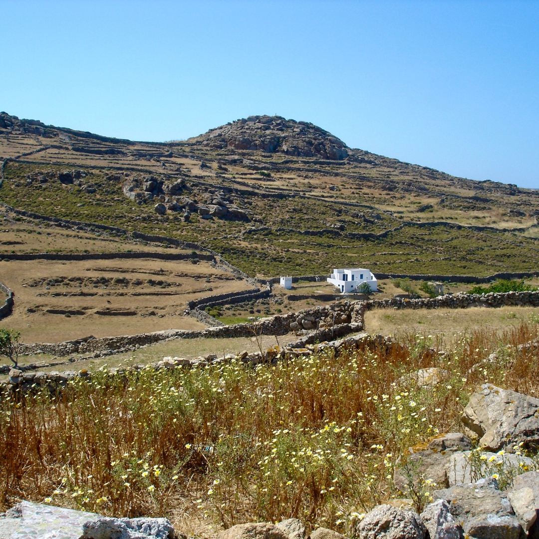 que ver en mykonos en un dia