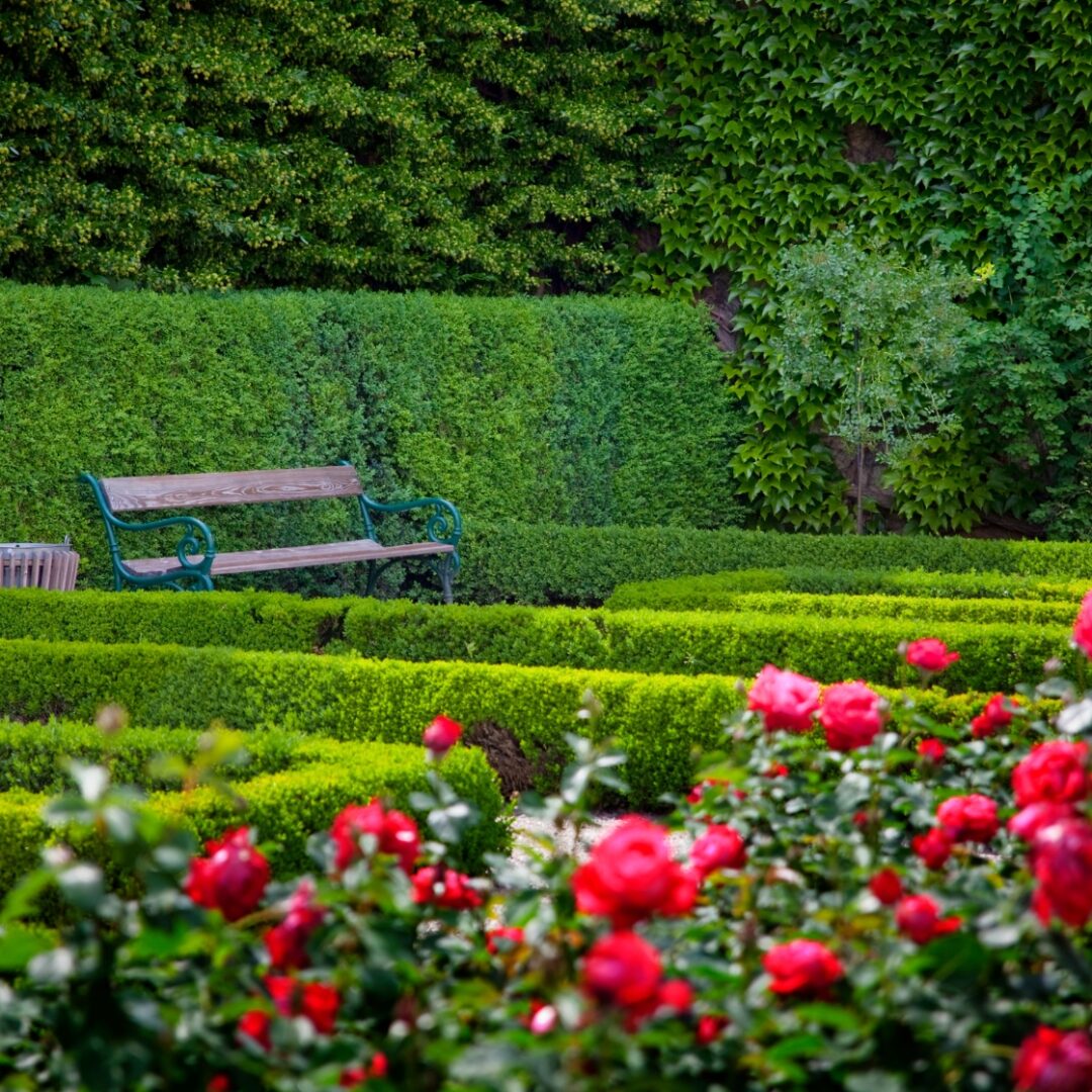 que ver en salzburgo en navidad