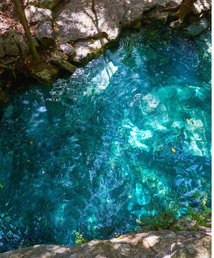 cancun ciudad que ver