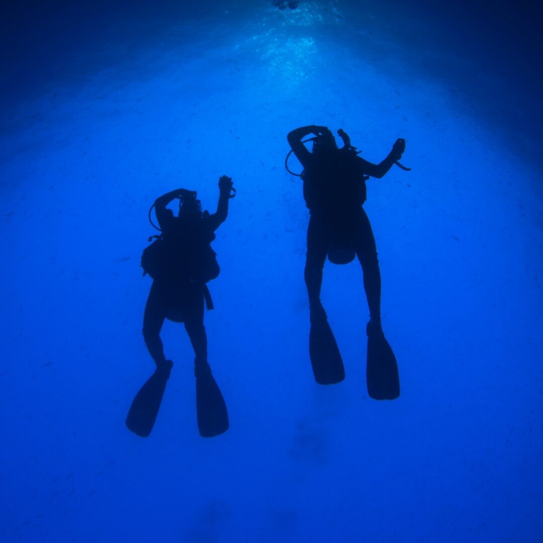 qué ver en kusadasi