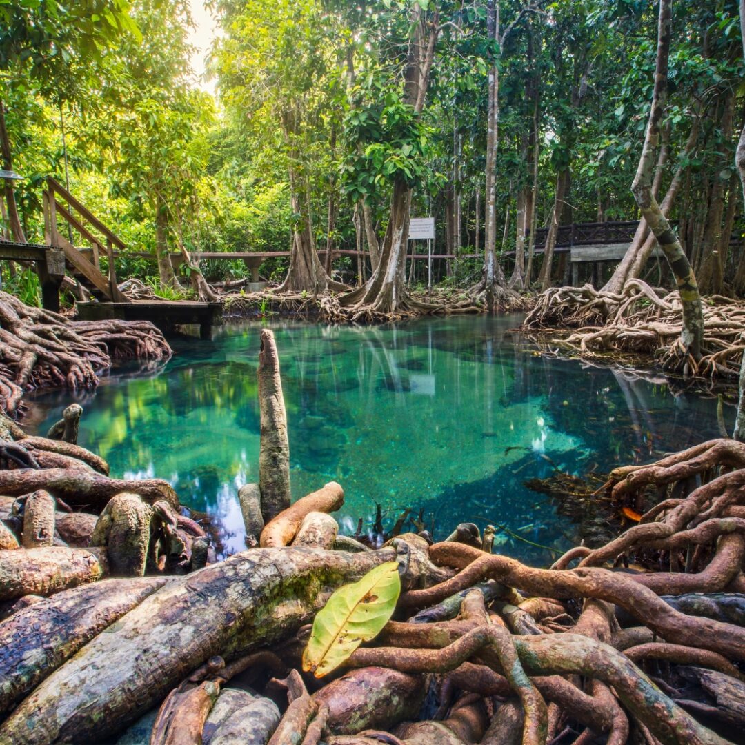 qué ver en tailandia