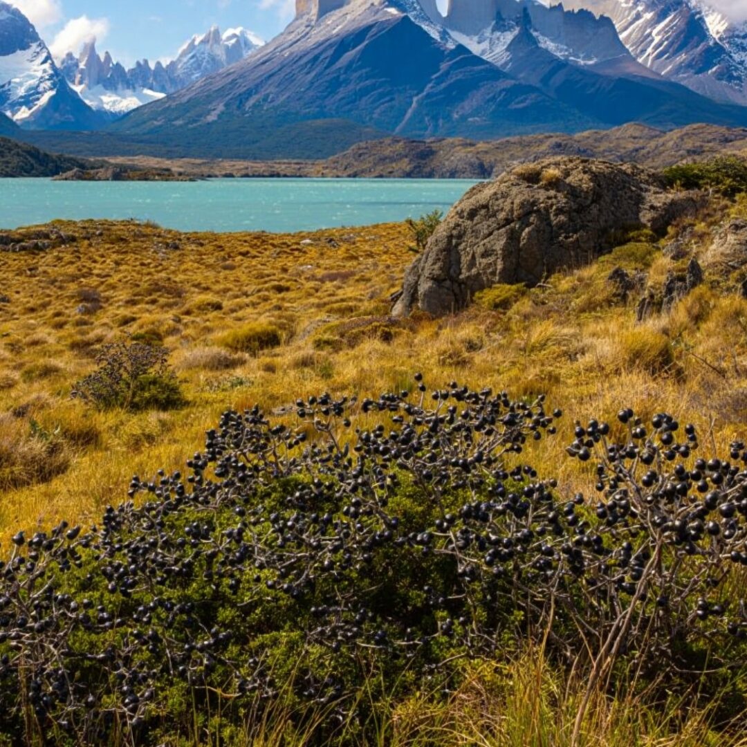 excursiones argentina