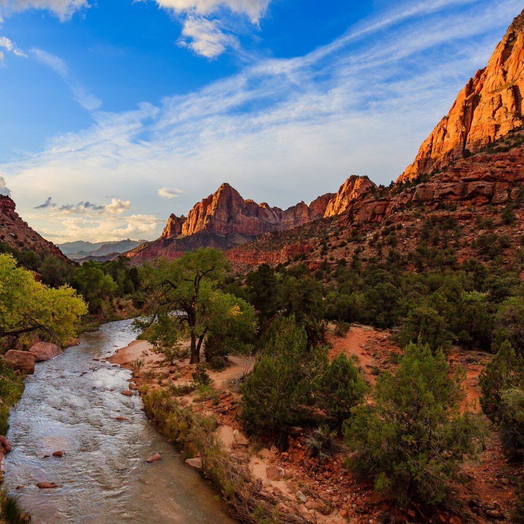 parque nacional tujica brasil